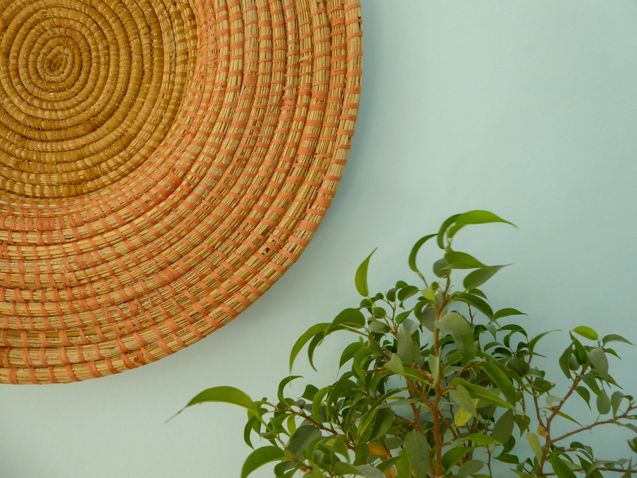Natural woven african wall plate on blue wall with green plant